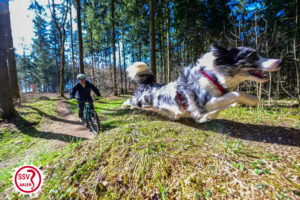 339-2026-03-07_SSV Aalen Season Opener